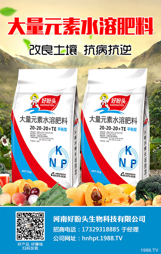 ������֪���Ľ�ɏ���p���ų����w11�N������