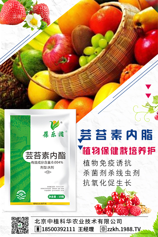 �ʽ�ʲô�r�g�Nֲ���ʽ��ĸ߮a(ch��n)�Nֲ������