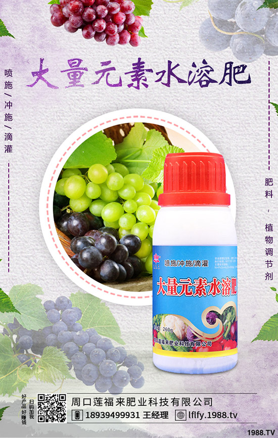 豆角煤霉病如何防治，豆角煤霉病藥有哪些？