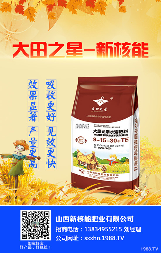     2020年早春辣椒什么時候種植？育苗技術及苗期管理要點！