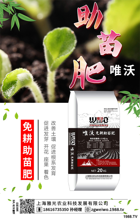     山藥什么時(shí)候采收？山藥的貯藏方法有哪些？