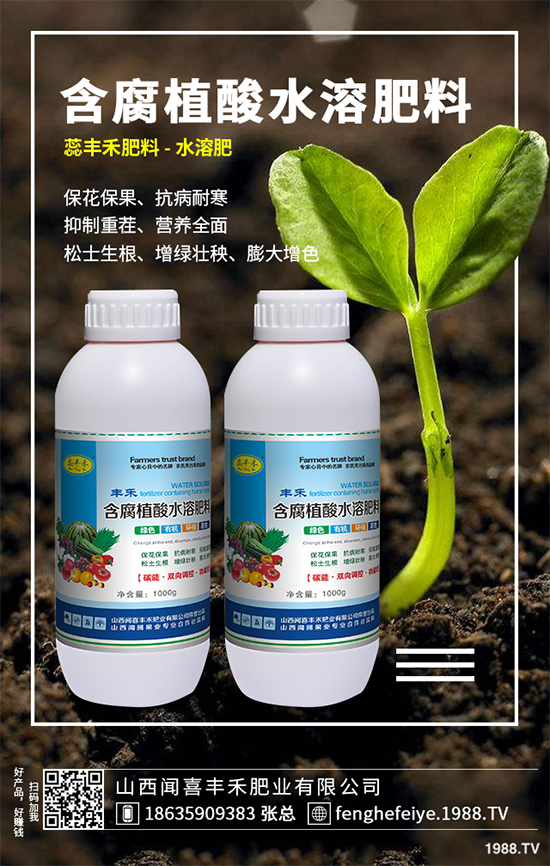 盆栽蔬菜該怎么種？盆栽蔬菜的高產(chǎn)種植技術(shù)