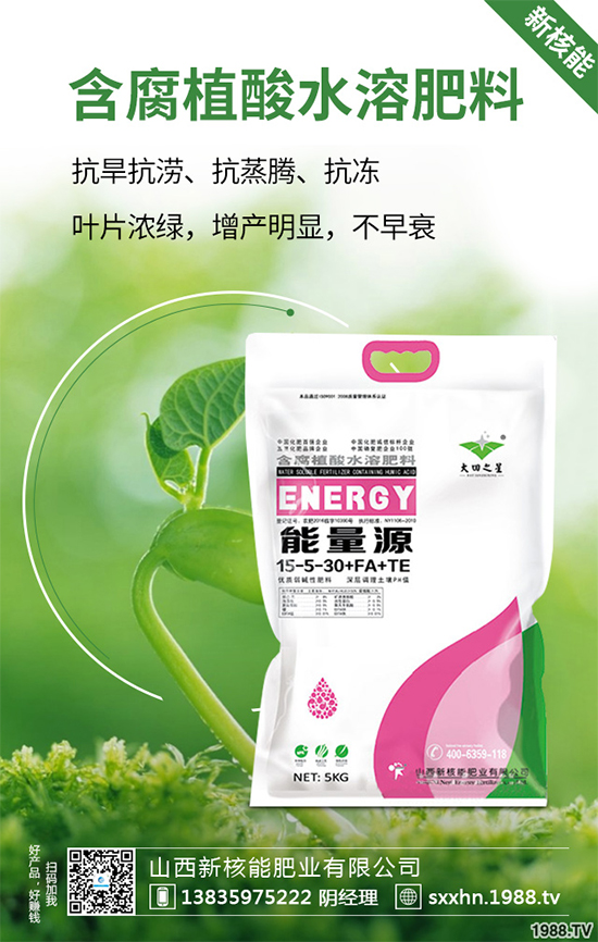 盆栽蔬菜該怎么種？盆栽蔬菜的高產(chǎn)種植技術(shù)