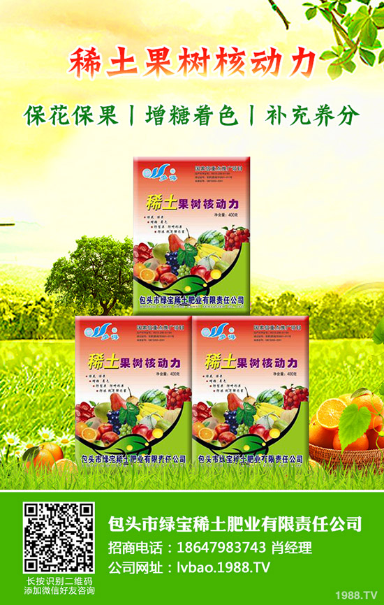 大棚西瓜該怎么育苗，大棚西瓜育苗需要掌握哪些知識