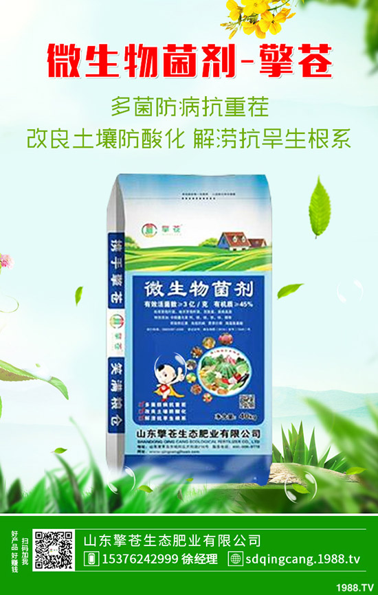     2019-12-7磷酸一銨行情低迷！今日一銨最新價(jià)格早報(bào)！