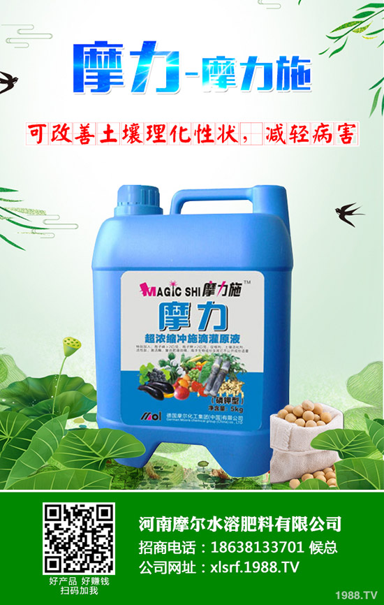 �����ʲô���Ϻ������ʩ�ʼ��g(sh��)����Щ��