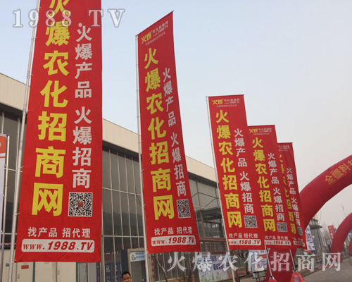 2019�ӱ�ֲ������