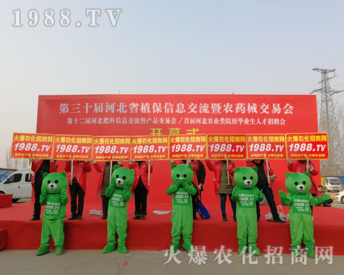 ���r(n��ng)���W(w��ng)�F�Yһ�y�ֲ�������2019�ӱ�ʯ���fֲ������