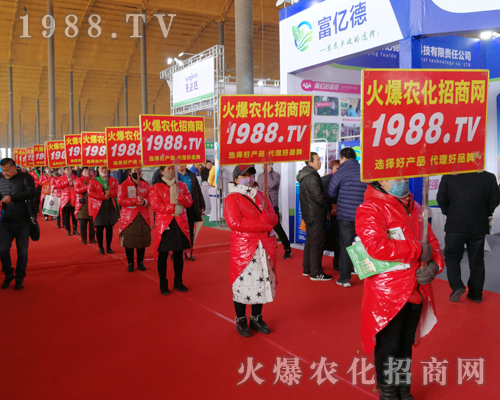     2019�ӱ�ʯ���fֲ����(hu��)�ϻ��r(n��ng)���W(w��ng)��Ӣ�ɳ�������(zh��n)��(j��)��