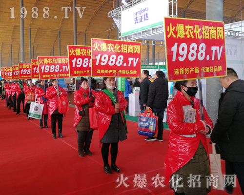     2019��30�úӱ�ֲ���������r(n��ng)���W(w��ng)Ҋ�C�ИI(y��)ʢ���ل�(chu��ng)�ѿ���