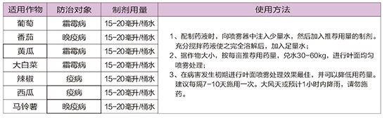 40%ϩ������˪��-�A��˪��-�A������3