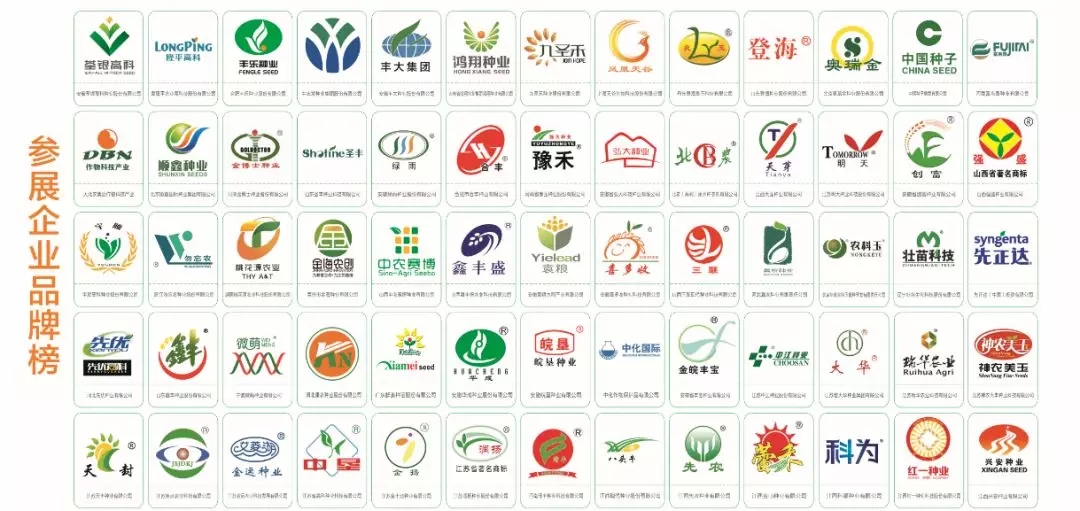 2019ȫ���N���p����(hu��)�όÅ�չ��I(y��)