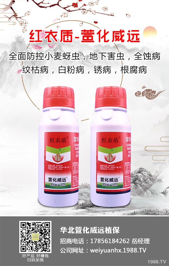     ���䚢�����r��