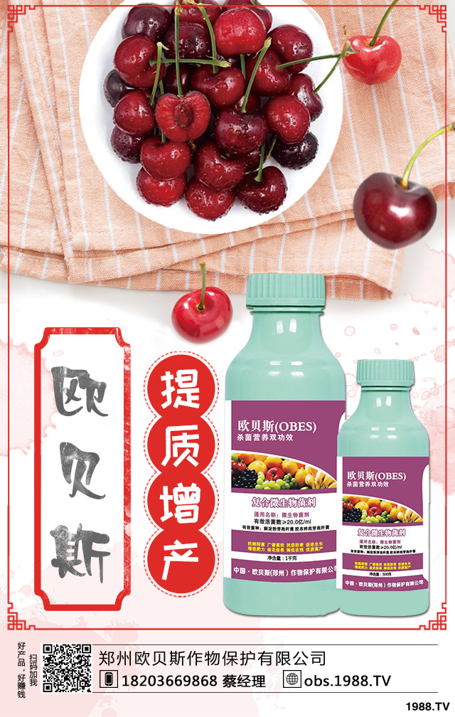 ��������ηNֲ������������༼�g