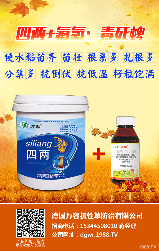 ��������݄�������Щ����������݄���B