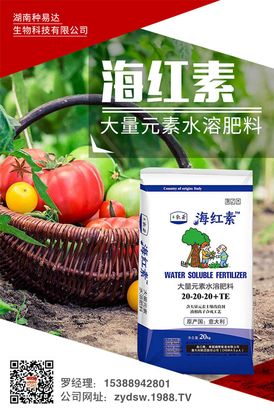 �＾��ݮ��ô�ԣ��＾�����ݮ�ĸ߮a(ch��n)���༼�g(sh��)���h(hu��n)��Ҫ��