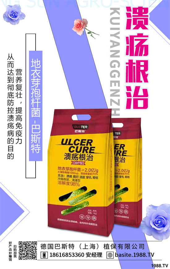 ������һ���Ǽ����Բ��������e���e����Ƚ���������������ɷ����Ν�������