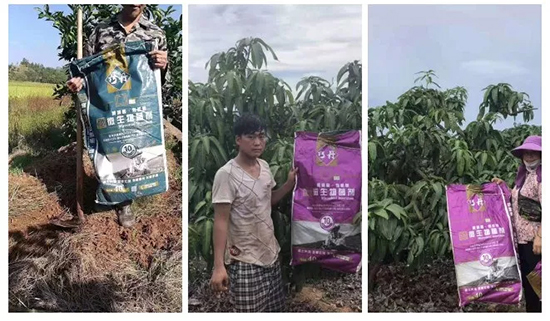 ��΢�������+�ЙC(j��)�ʡ�Ч��ţ����ʩһ������飬ʡ���ָ߮a(ch��n)��