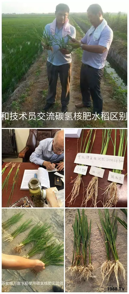 �ϰټ�ý�w��������쳬�^�W��ʳƷ�˜�������̼��˷ʾ����@ô�𱬣�