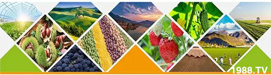 �����������L(zh��ng)���߉��������ͷ���Ѹ������������ƌW(xu��)���L(zh��ng)���g�޴���