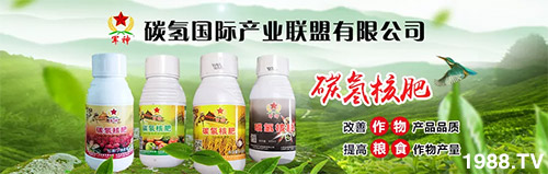 �����������L(zh��ng)���߉��£����ͷ���Ѹ������������ƌW(xu��)���L(zh��ng)���g�޴�