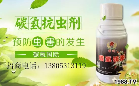 �����������L(zh��ng)���߉��������ͷ���Ѹ������������ƌW(xu��)���L(zh��ng)���g�޴���