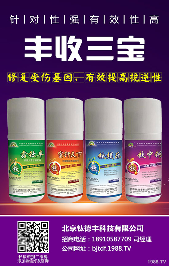 �������ʩ�ʲ��ܸ߮a(ch��n)������߮a(ch��n)ʩ�ʼ��g(sh��)��