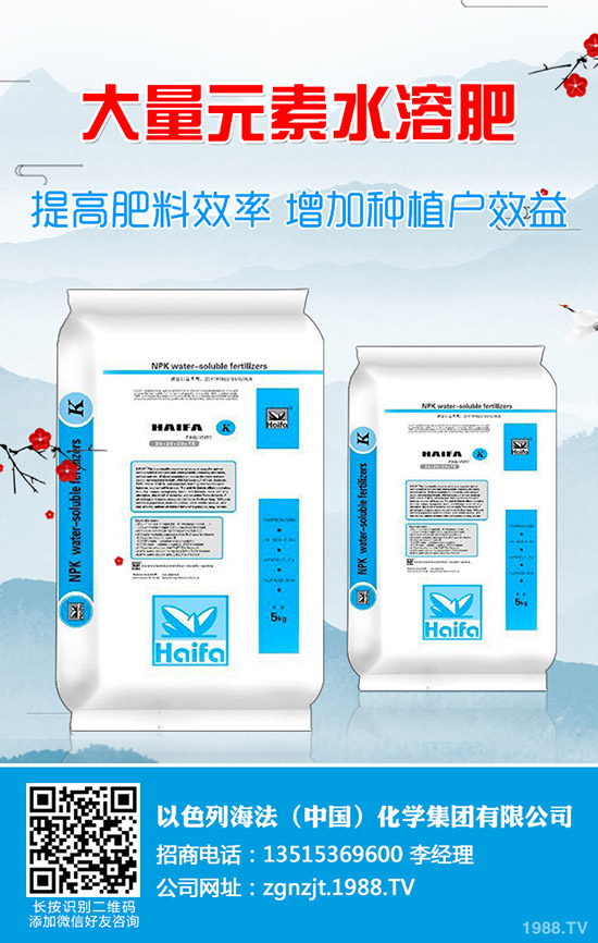     2019��9��10�ս���������(n��i)⛷��Ј�����r���߄ݷ���