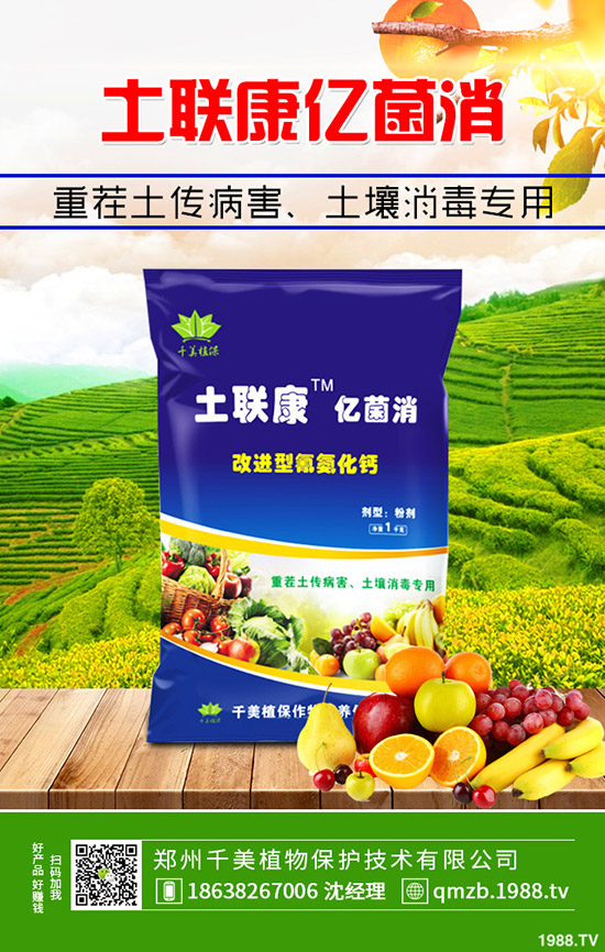     �＾����������ι������＾����������ֲ�������g��