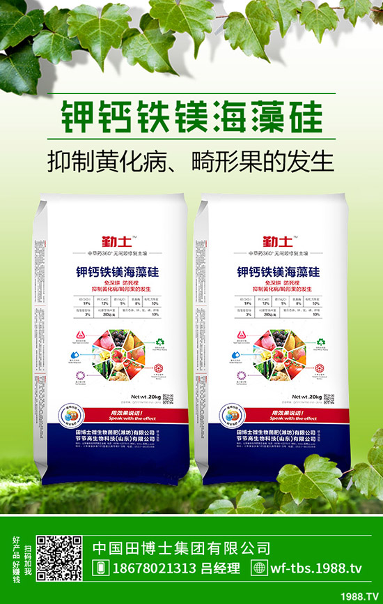 �ﶬ�����S����ηNֲ���ﶬ�S�ϵķNֲ����������������