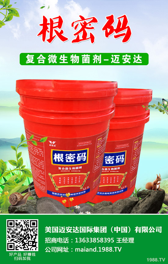 �����Jʲô�r(sh��)��Nֲ�������J�Nֲ���g(sh��)��