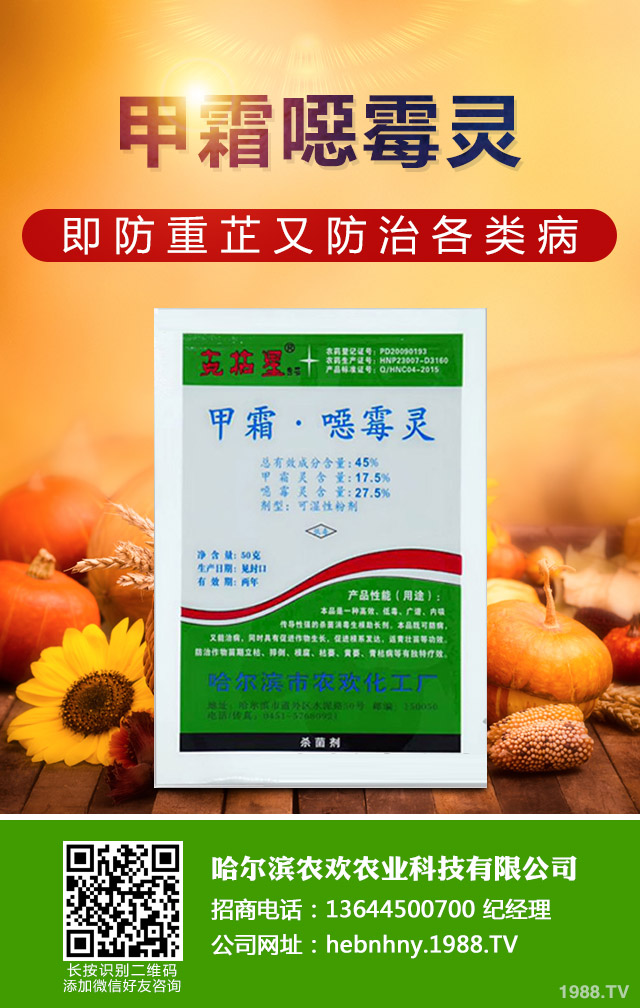 哪些方法能桑樹赤銹??？桑樹赤銹病防治技巧