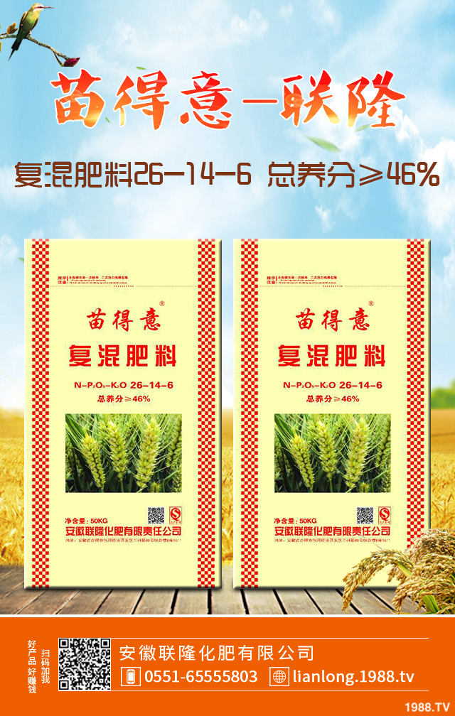 С����ô����Ч������С�����������g����