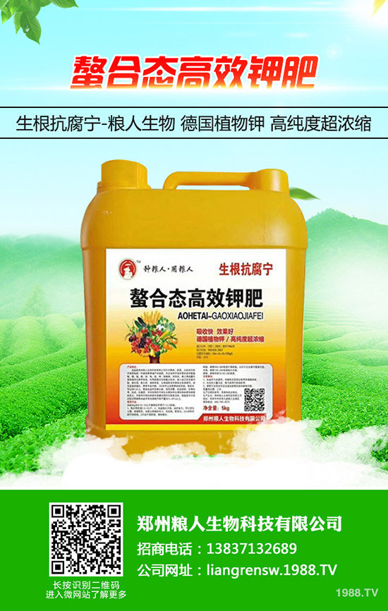 ���y�����ʩ�������y���߮a(ch��n)ʩ��Ҫ�c��