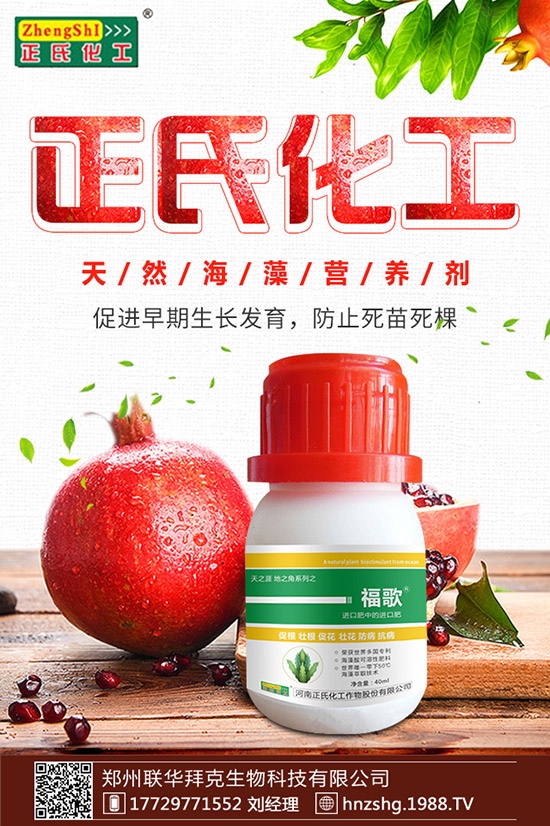 ���y����ʲô���������y���Ĺ�Ч�cʳ�ý��ɣ�