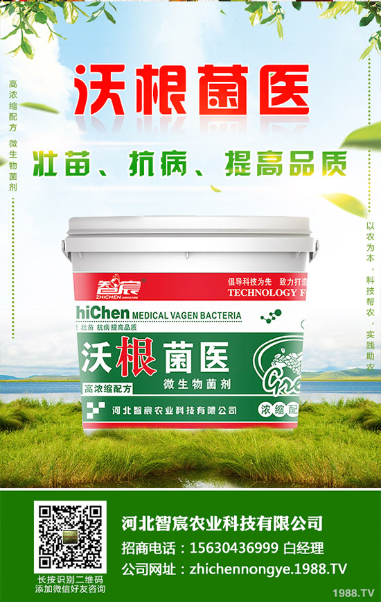 �Ծ��Ĳ�����Щ��̎�����Ĳ˵Ĺ�Ч��������