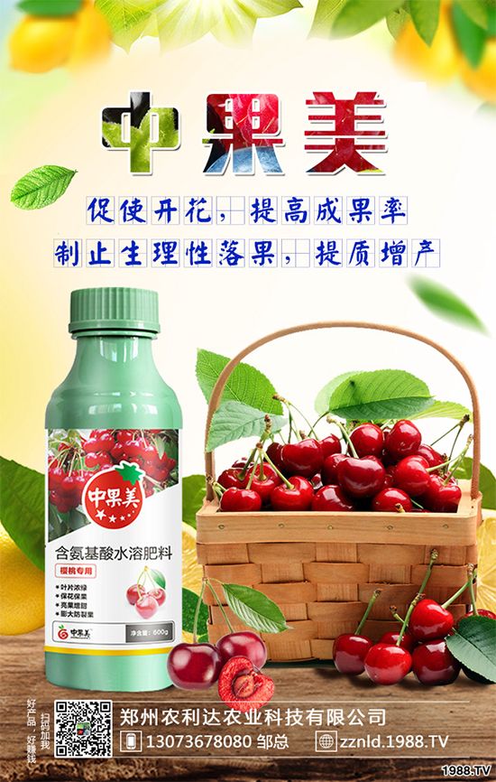 ��ʲô�r��N�Nֲ���𽷷NֲҪ�c��