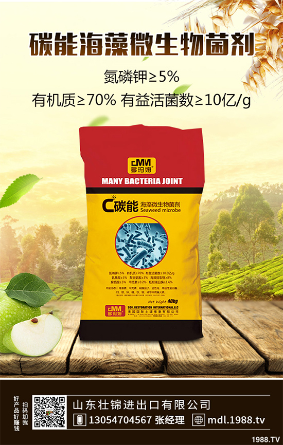 ���[�ϰ߲�����ЩΣ�������������������[�ϰ߲��ķ��δ�ʩ