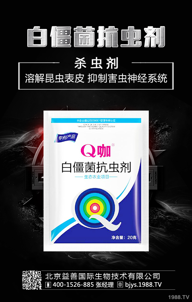 �¼����x����ô�������¼����x�����μ��\