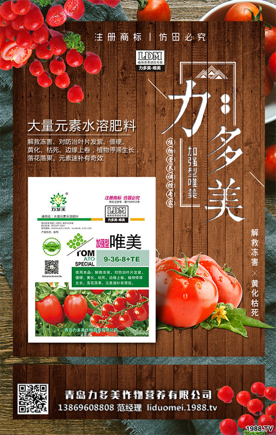 �㶹ԓ��ô�N���㶹�Ĳ��N�������Nֲ�������g(sh��)