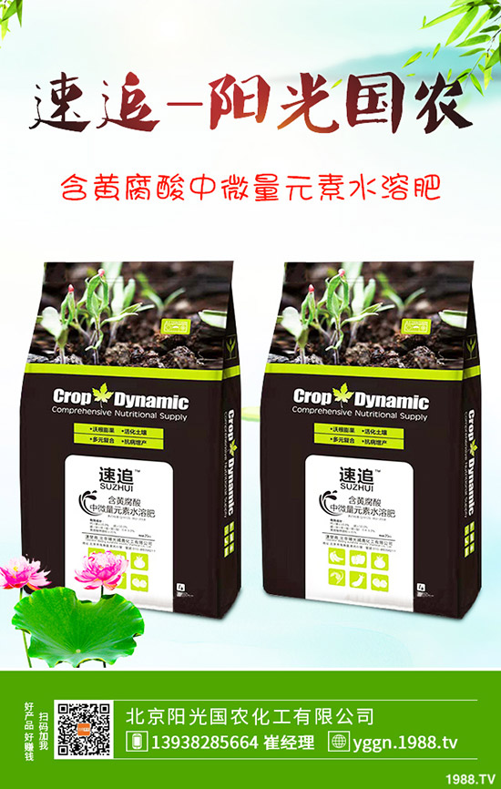     ���c������������@�r���Ƿ�Ӱ푣����¶��@�������2019-9-241-(238)