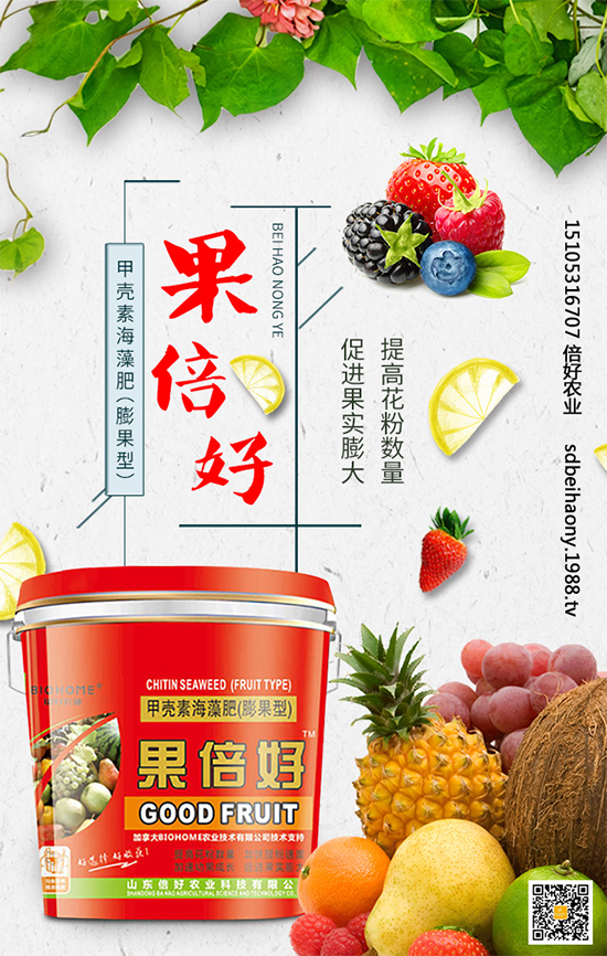 ʥŮ��ʲô�r(sh��)�g�Nֲ��ʥŮ���Nֲ���g(sh��)Ҫ�c(di��n)����Щ��