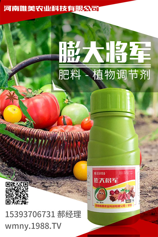 �＾���ҵĹ����(n��i)�����＾�����߲˷Nֲע�����(xi��ng)��