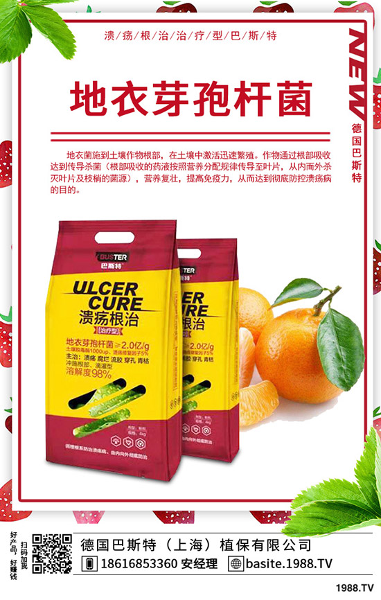 �t��̦��ô�N���t��̦�ķNֲ�r�g���Nֲ������