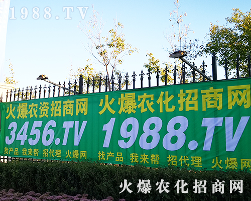 2019�L(zh��ng)����ʮ���Ö|����ʡֲ����(hu��)�����r(n��ng)�����̾W(w��ng)ȫ���Ը���