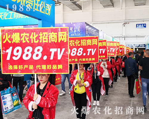 2019�L��ֲ���������r(n��ng)���W(w��ng)�����ƏV�ݲ��ɓ���