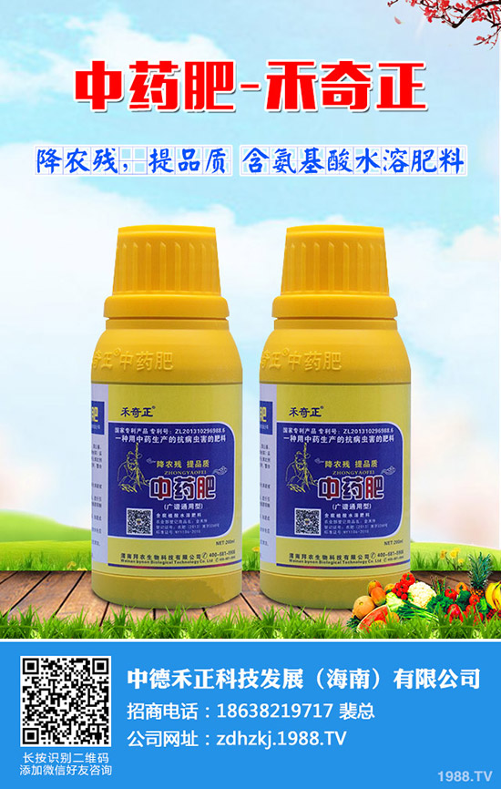 金絲瓜如何栽培，金絲瓜種植小技巧！