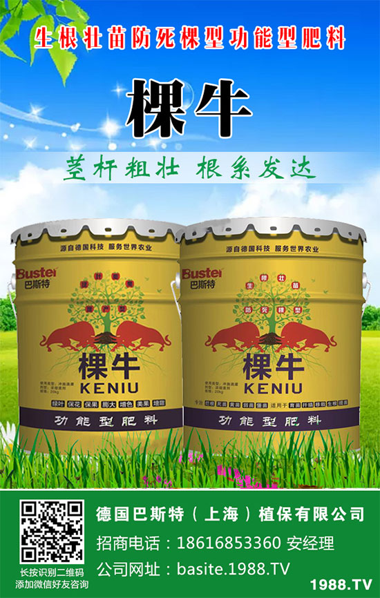 ���[���ʩ�������[�ƌW(xu��)������ʩ�ʷ�����