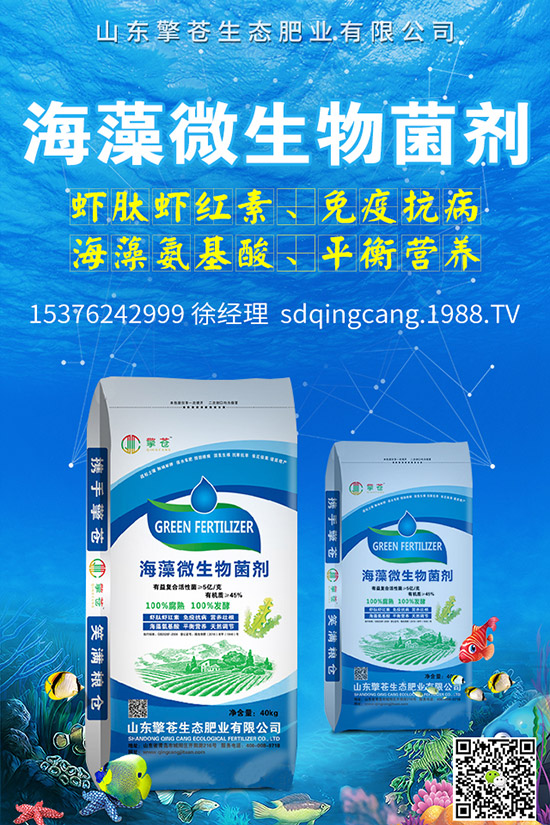     �ﶬ�}����ô�Nֲ���ﶬ�}�����N�r�g�����g����������