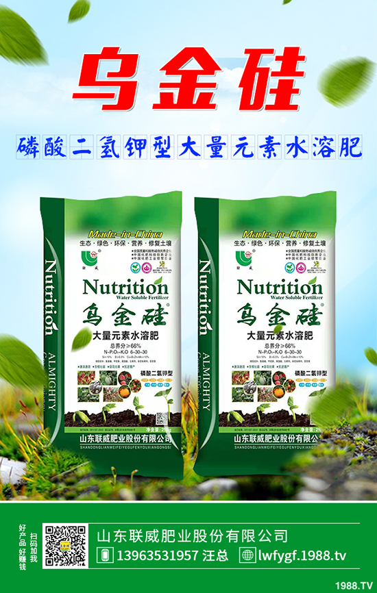     2019��9��3�ս��ն��@�����Ј��r������C���u�y